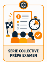 Série collective prépa examen du Code de la route en visioconférence